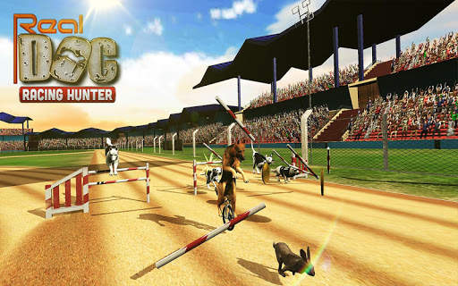Real Dogs Racing Rabbit Hunter Greyhound Simulator screenshot 4