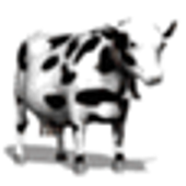 Pet Me Cow icon