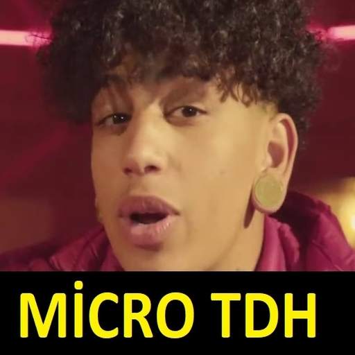 Micro TDH music offline 1.0