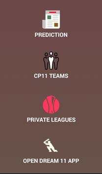 Cricket Playing 11 screenshot 2