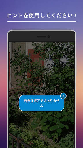 猫を探す screenshot 3