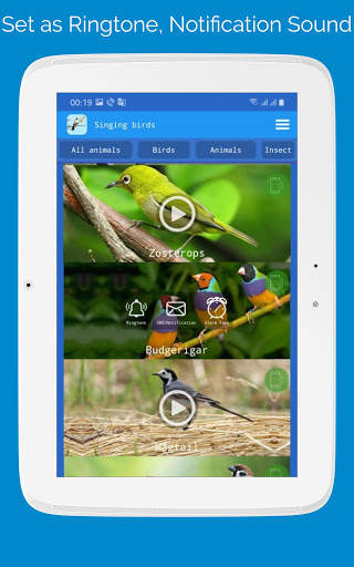 Singing Birds स्क्रीनशॉट 11