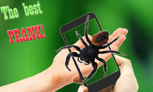 Scary Spider AR screenshot 3