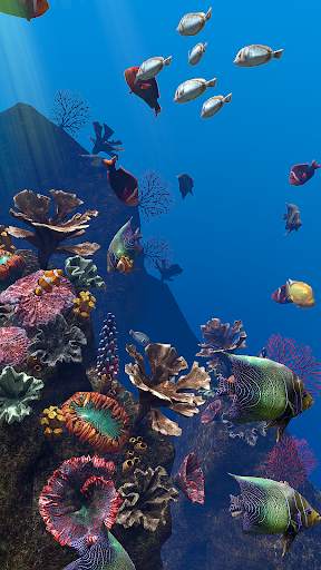 OCEAN AQUARIUM Live Wallpaper FREE screenshot 2