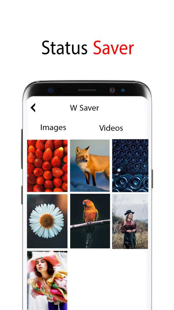 All Video Downloader screenshot 2