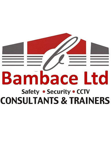 Bambace Ltd screenshot 2