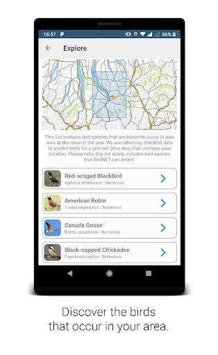 BirdNET screenshot 5