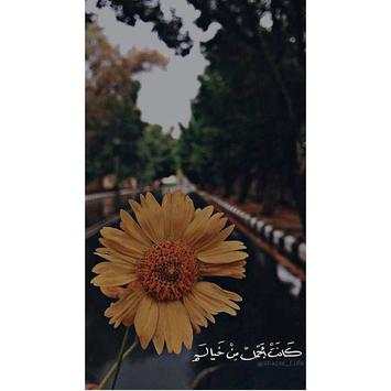 اقتباسات سنابيه و سنابات 2 تصوير الشاشة