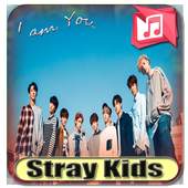 Stray Kids 1.0