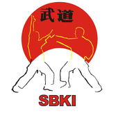 Basic Katas Shotokan free icon