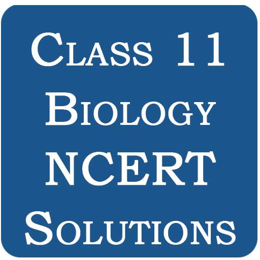 Class 11 Biology NCERT Solutions 0.5