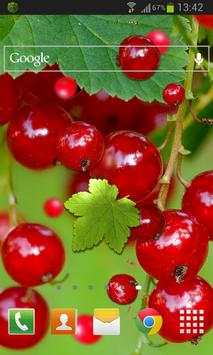 Berry Live Wallpaper screenshot 2