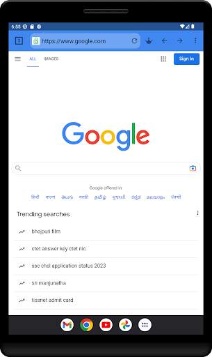 Incognito Browser screenshot 6