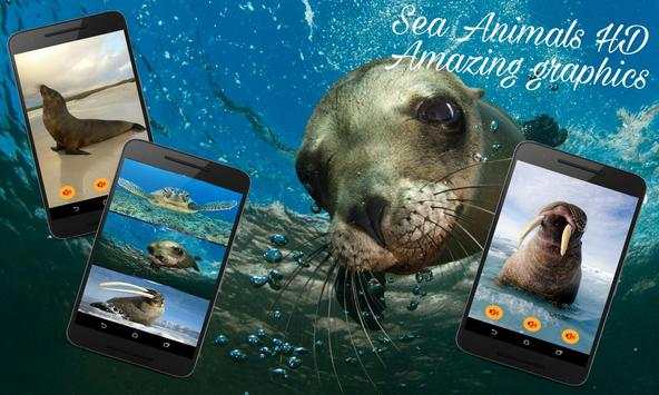 Animals world screenshot 3