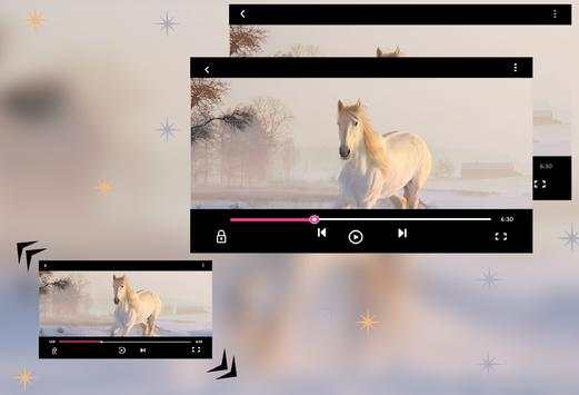 Max player screenshot 4