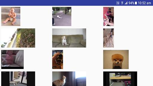 Funny Videos screenshot 1