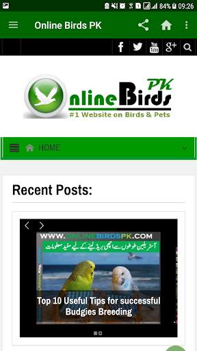 Online Birds PK screenshot 1