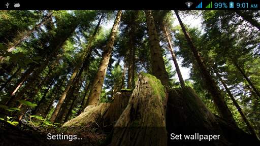 Nature Live Images screenshot 2