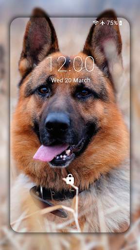 German Shepherd Wallpaper HD screenshot 1