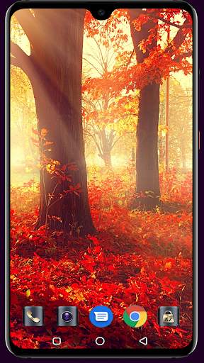 Autumn Wallpaper 4K Latest screenshot 12