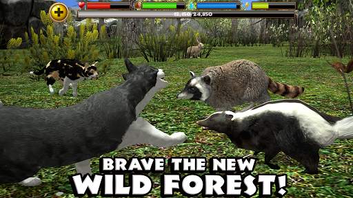 Stray Cat Simulator screenshot 14