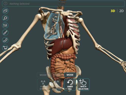 Visual Anatomy 3D | Human screenshot 12
