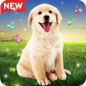 Animals Sound Ringtones Real Free icon