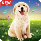 Animals Sound Ringtones Real Free 1.0