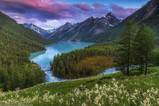 Forest Live Wallpaper screenshot 5