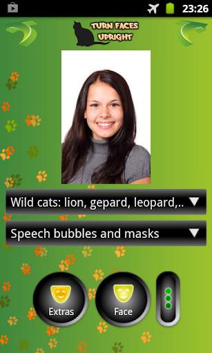 Look Like Cat screenshot 2