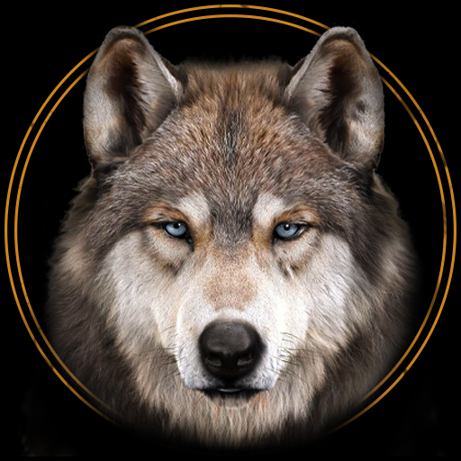 Lone Wolf Wallpaper 4K icon