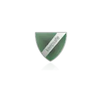 Formerly known as keepsafe icon