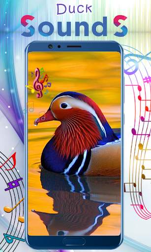 Duck Sounds 4 تصوير الشاشة