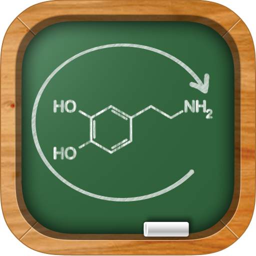 Chemistry Lab 6.5