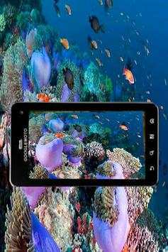 HDcamera screenshot 2