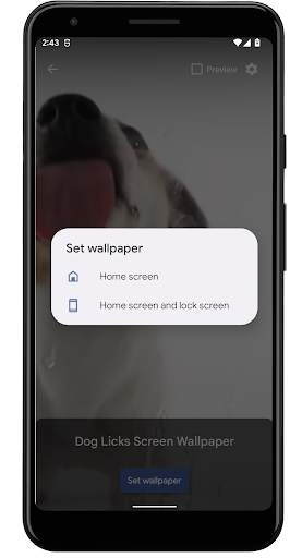 Dog Licks Screen Wallpaper screenshot 6