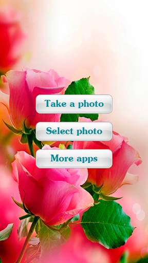 Roses Photo Frames screenshot 1