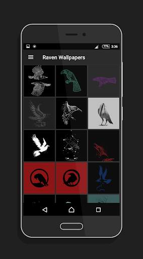 Raven Wallpapers screenshot 1