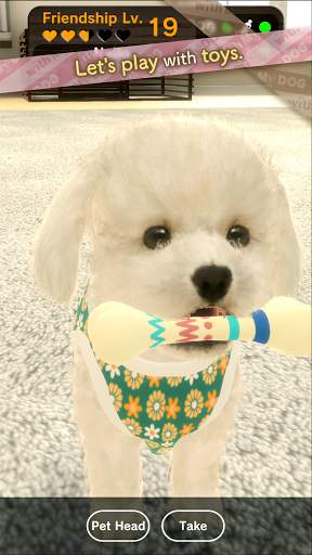 with My DOG screenshot 6