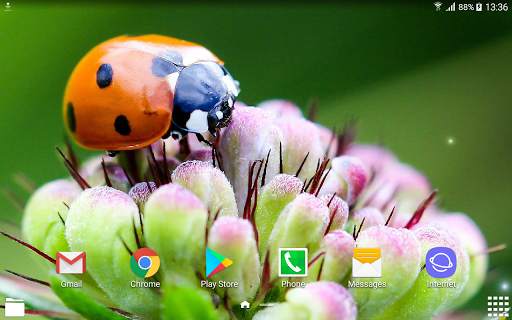 Beautiful Summer HD Wallpapers 8 تصوير الشاشة
