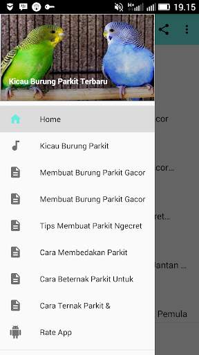 Kicau Burung Parkit Terbaru screenshot 1