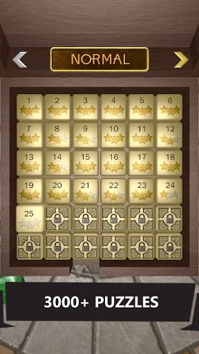Unblock 3D Puzzle screenshot 3