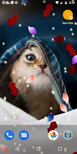 Water Touch - Cute Cat Live Wallpaper screenshot 5