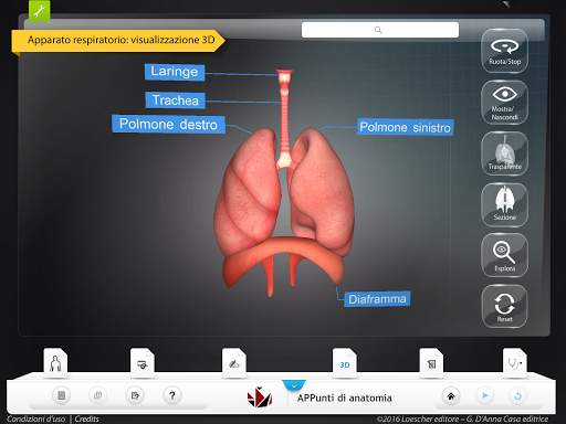 APPunti di anatomia-Lite screenshot 6