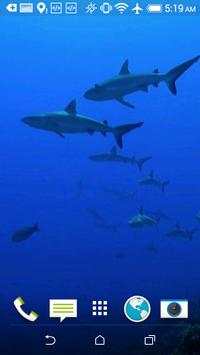 Sharks HD Video Wallpaper screenshot 4
