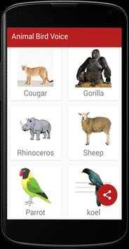 Animal Bird Voice screenshot 3