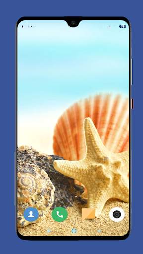 Seashell Wallpaper HD screenshot 14