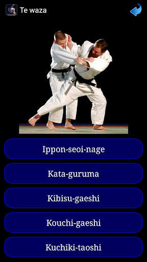 Judo in brief screenshot 8