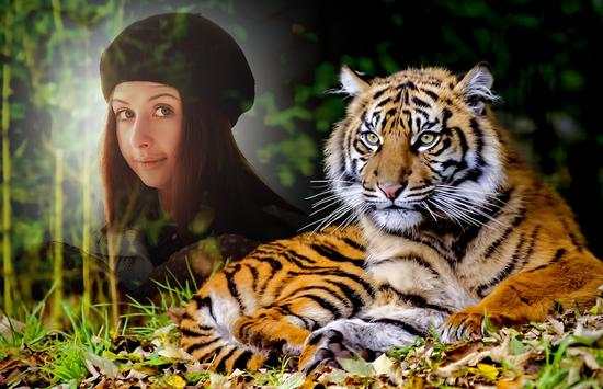Tiger Photo Frames screenshot 5