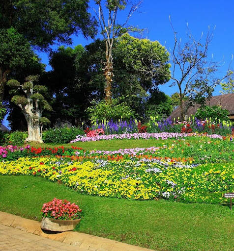 Spring Garden Wallpaper screenshot 13